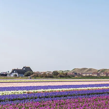 Achterweg 11a Aan De Kust Dom wakacyjny Callantsoog